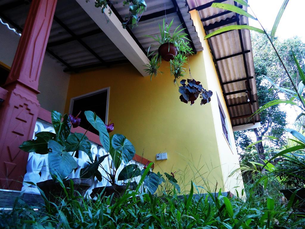 Sigiri Sithru Home Stay Σιγκιρίγια Εξωτερικό φωτογραφία