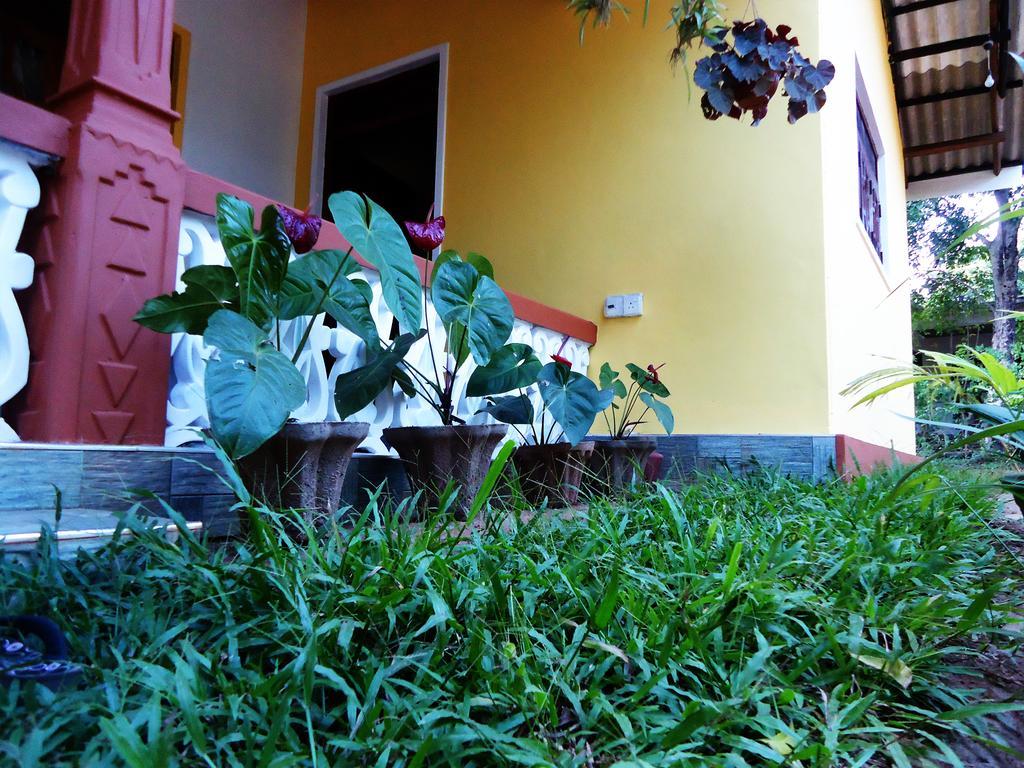 Sigiri Sithru Home Stay Σιγκιρίγια Εξωτερικό φωτογραφία
